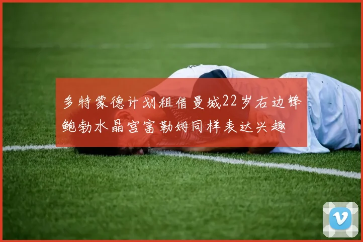 多特蒙德计划租借曼城22岁右边锋鲍勃水晶宫富勒姆同样表达兴趣