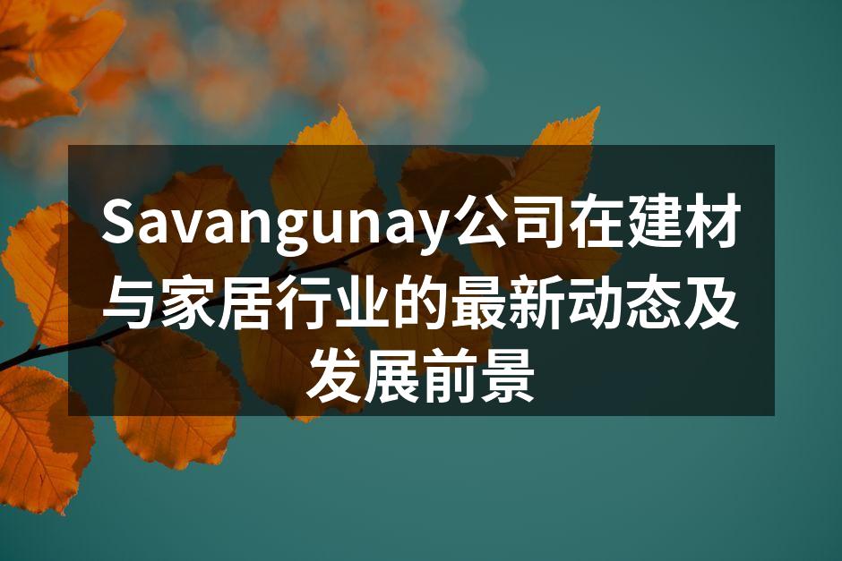 Savangunay公司在建材与家居行业的最新动态及发展前景