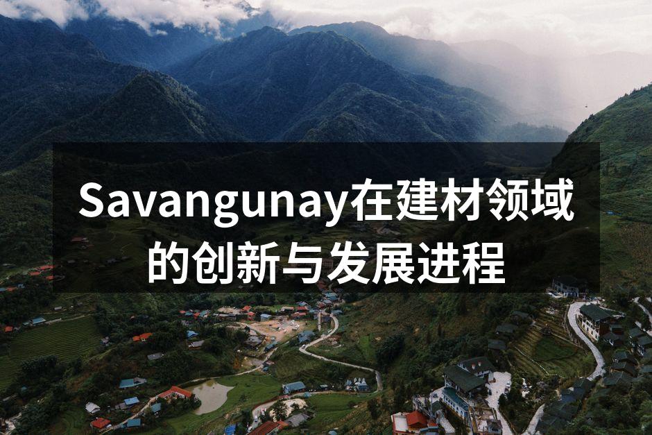 Savangunay在建材领域的创新与发展进程