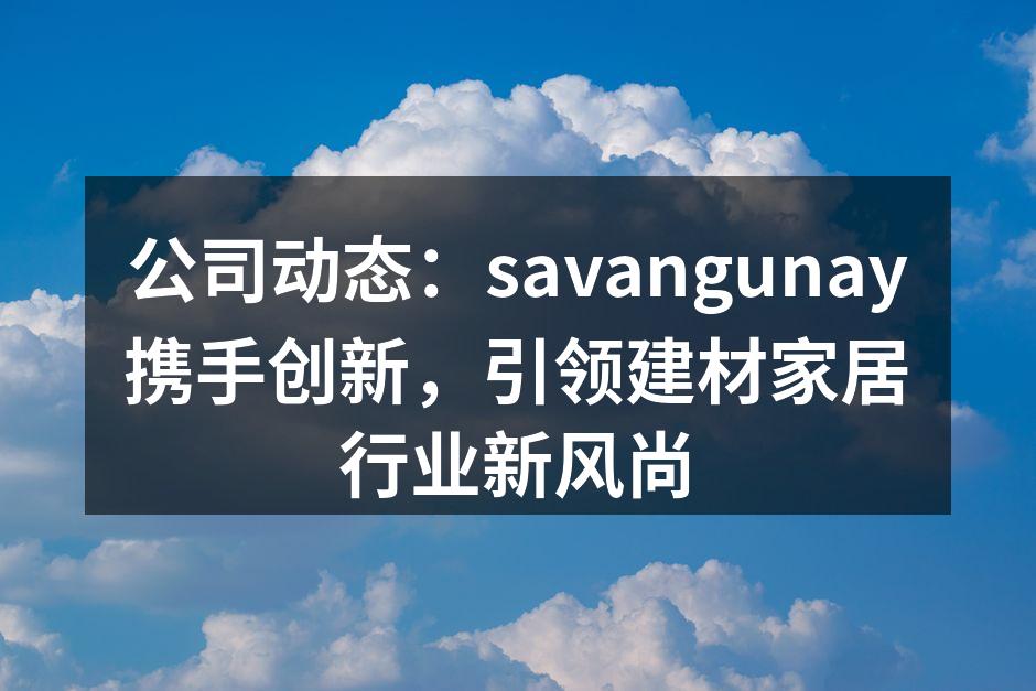 公司动态：savangunay携手创新，引领建材家居行业新风