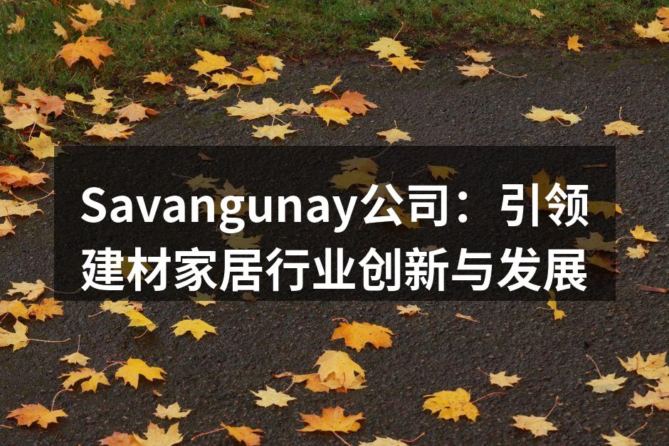 Savangunay公司：引领建材家居行业创新与发展